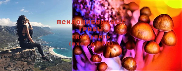 Альфа ПВП Балахна